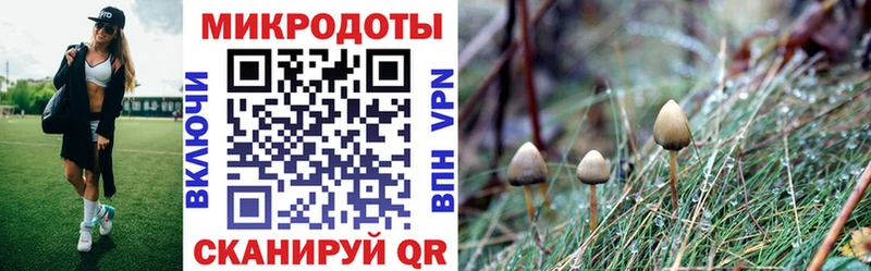 Купить закладки Железногорск Псилоцибиновые грибы Magic Shrooms